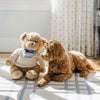 Dog and teddy bear sitting together on a checkered floor with a window in the background