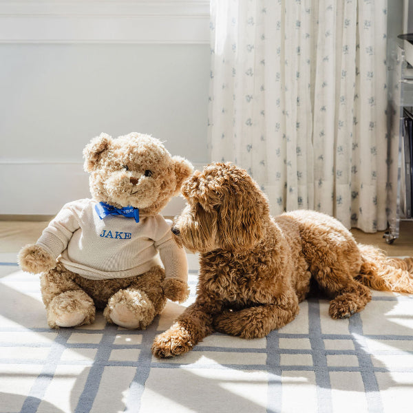 Dog and teddy bear sitting together on a checkered floor with a window in the background
